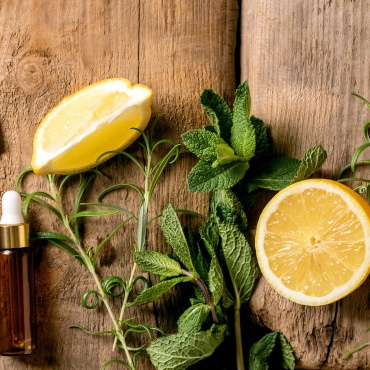 Organic essential rosemary, mint, lemon and orange aroma or cosmetic oil from fresh ingredients in glass bottle with pipette. Promo concept for skin body care antistress effect. Wooden background.